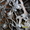 Цех художественной ковки Fabber Ferro Baikal - Изображение #6, Объявление #290012