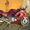 Мотоцикл Kawasaki ZZR-2 (400) (Иркутск)  - Изображение #1, Объявление #403597