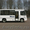 Автобус новый ПАЗ 320402-05 (городской) - Изображение #3, Объявление #425147
