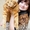Котята Мейн Кун - Изображение #2, Объявление #122007