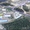 торгово-складское здание в Ангарске на оптовой базе «Сатурн» - Изображение #10, Объявление #533660