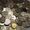 Продам монеты иностранных государств - Изображение #1, Объявление #634950