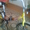 продажа велосипеда в новоленино - Изображение #2, Объявление #614888