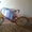 продажа велосипеда в новоленино - Изображение #1, Объявление #614888