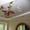 Уникальные натяжные потолки с фотопечатью.  - Изображение #3, Объявление #1058748