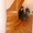 Компания Мир лестниц и дверей. на заказ - Изображение #1, Объявление #1128788