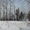 Участок 1,3 га по Качугскому тракту расположенный на  16 км от Иркутска - Изображение #4, Объявление #1310623