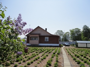 Продаю дом в Байкальске - Изображение #3, Объявление #496454