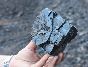 Оптовая продажа каменного угля  - Изображение #2, Объявление #595694