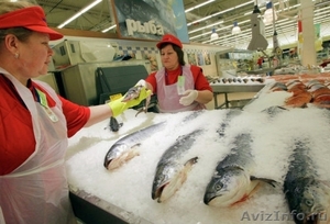 Рыбообработчики, рыбаки на заводы - Изображение #2, Объявление #1570015